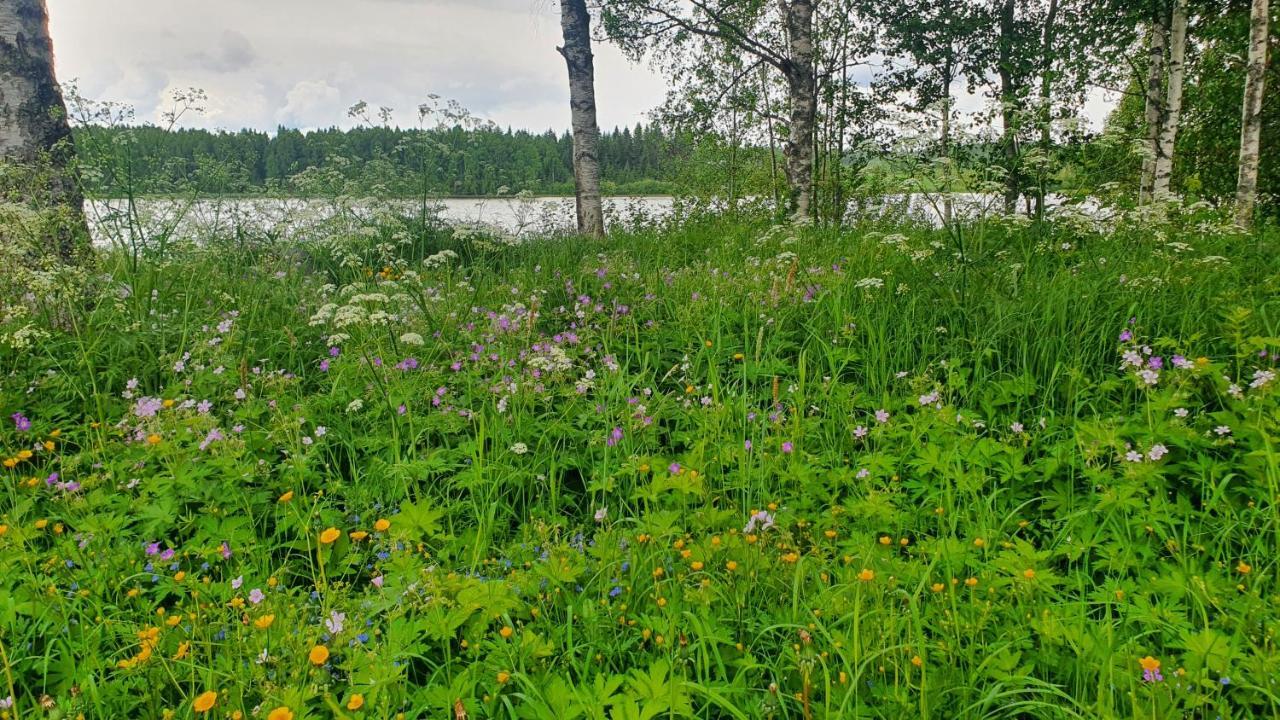 Viihtyisae Kolmio Jaerven Rannalla Haapavesi Eksteriør bilde